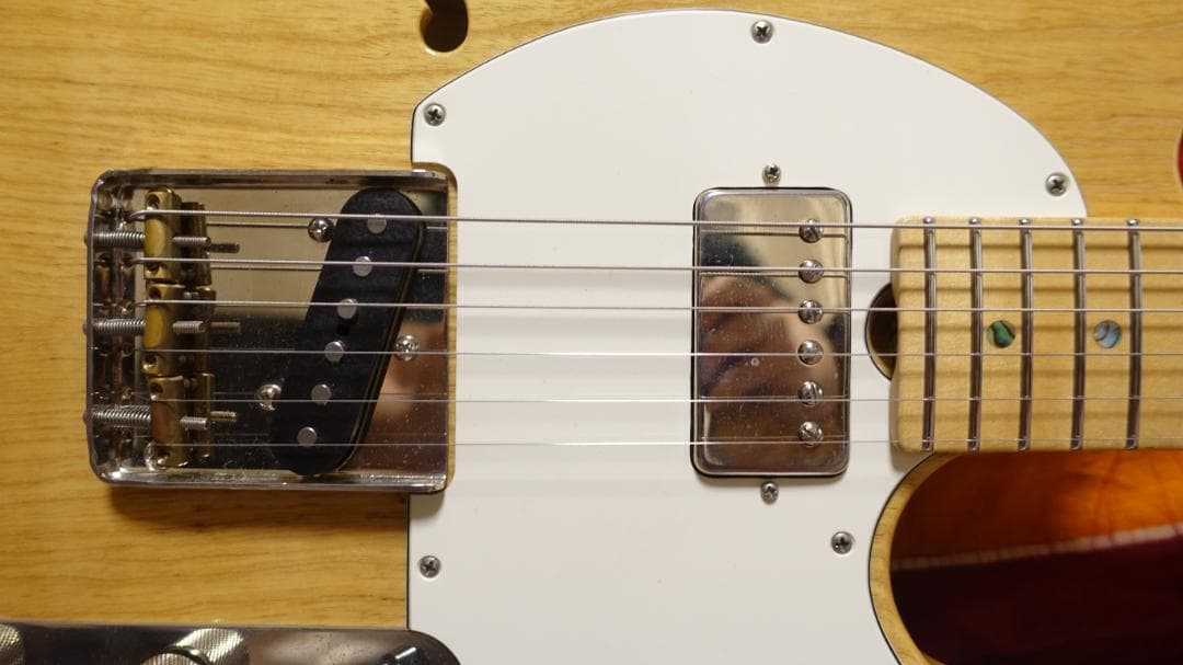 Don Grosh Retro Classic Hollow T テレキャス