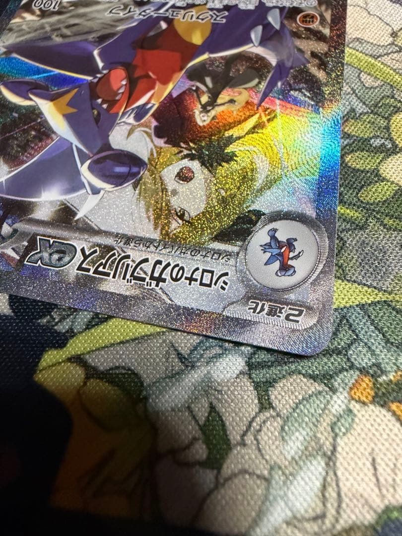 ポケモンカード シロナのガブリアスex SAR
