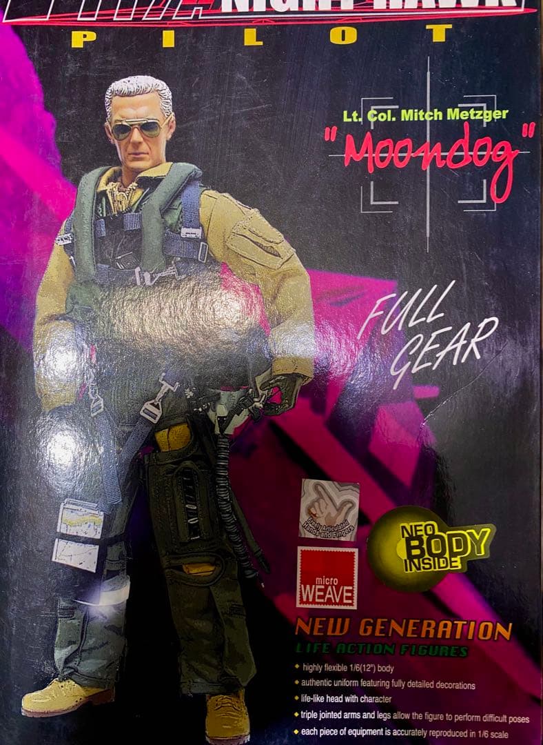 F117A night hawk pilot \