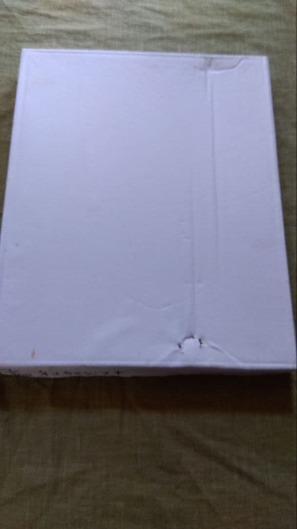 m*꒱様 ヒグチユウコ　複製画　ネコちゃん好き　限定版 イラスト 67/200