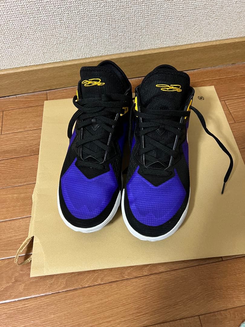 Nike バスケットボールシューズ　ブラック/パープル