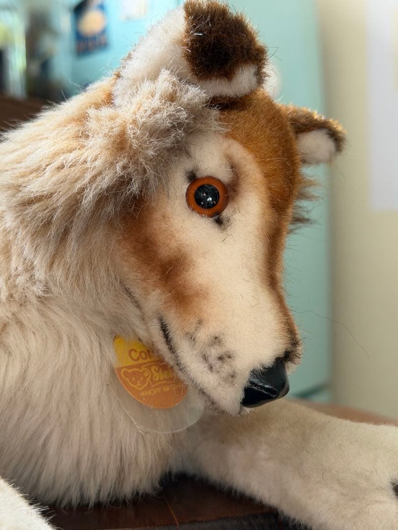 シュタイフ　コリー　オールドシュタイフ