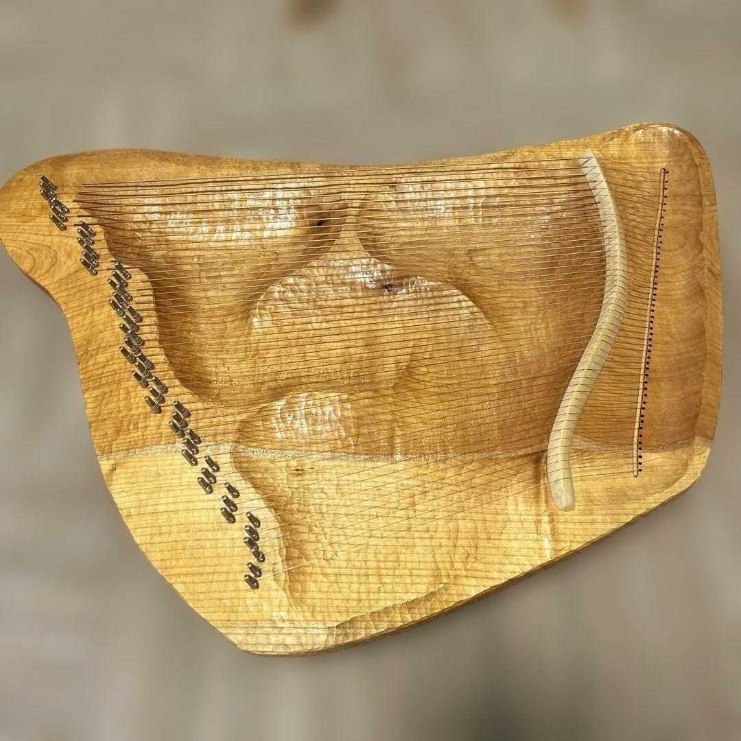 【送料無料】タオライアー　ソウルサウンドライアー