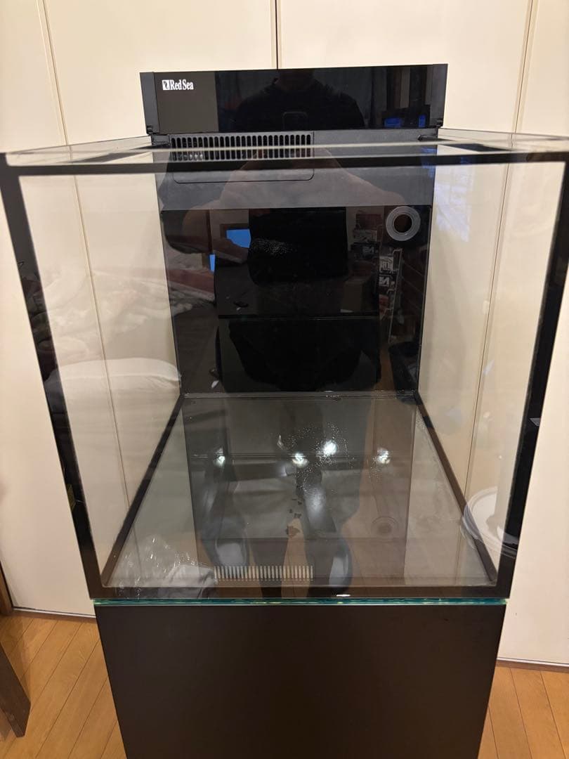 レッドシー　MAXシリーズ　ペニシュラン　大阪から