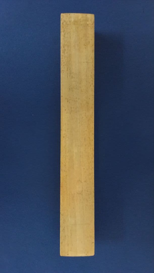 荒木十畝【花鳥画】紙本　掛軸