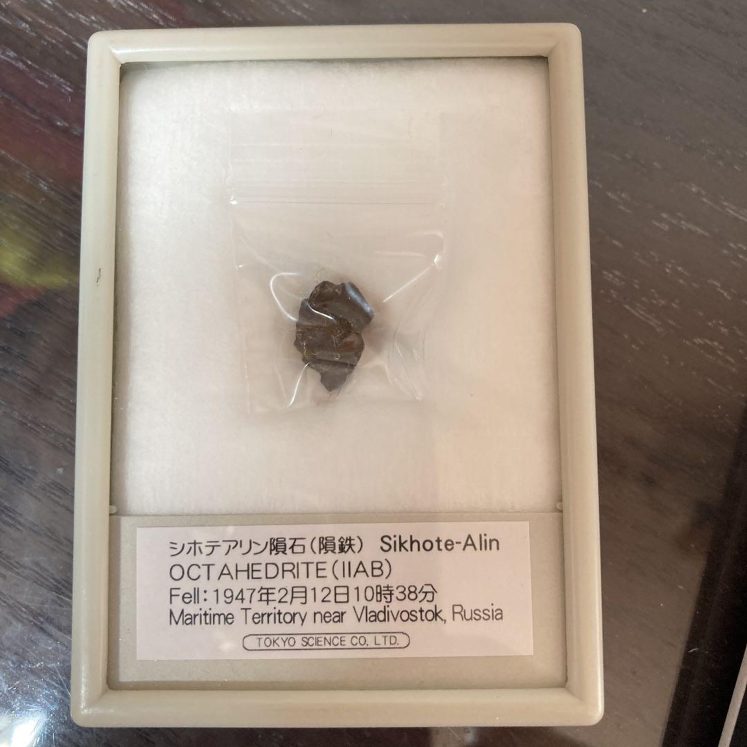 シホテアリン隕石（隕鉄）