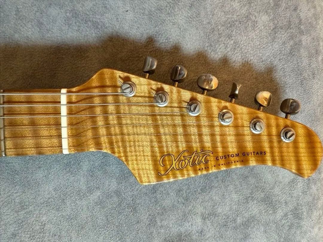 ココとナッツ　Xotic xsc-2 Inca silver