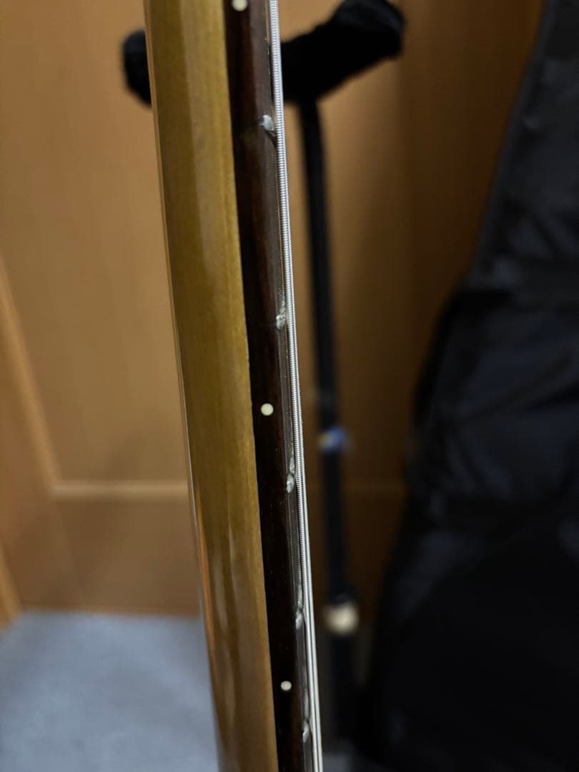 ギター SUGIZO EDWARDS E-SE-DII