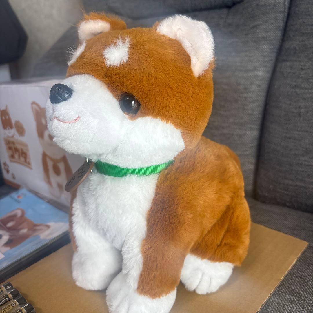 しばいぬコウタ　バンダナ無し