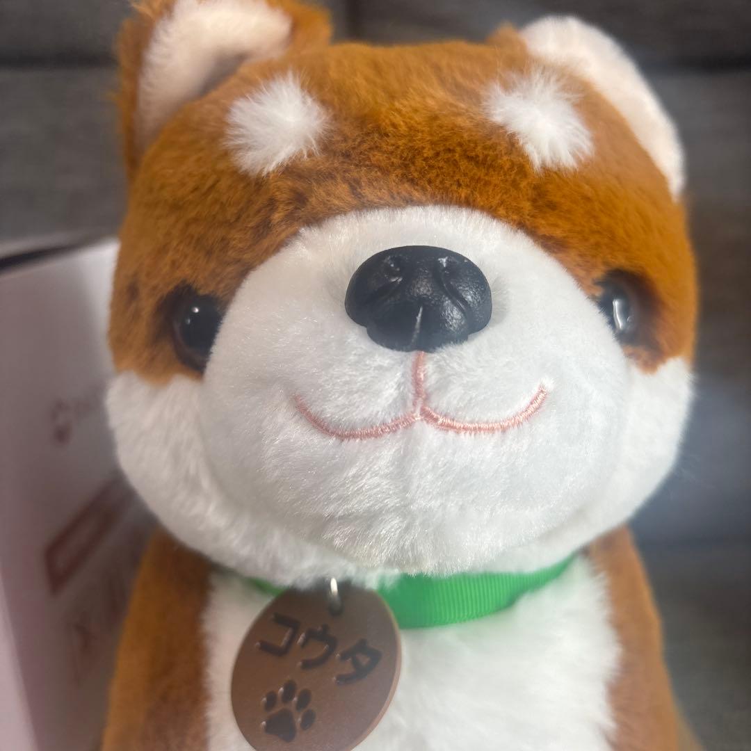 しばいぬコウタ　バンダナ無し