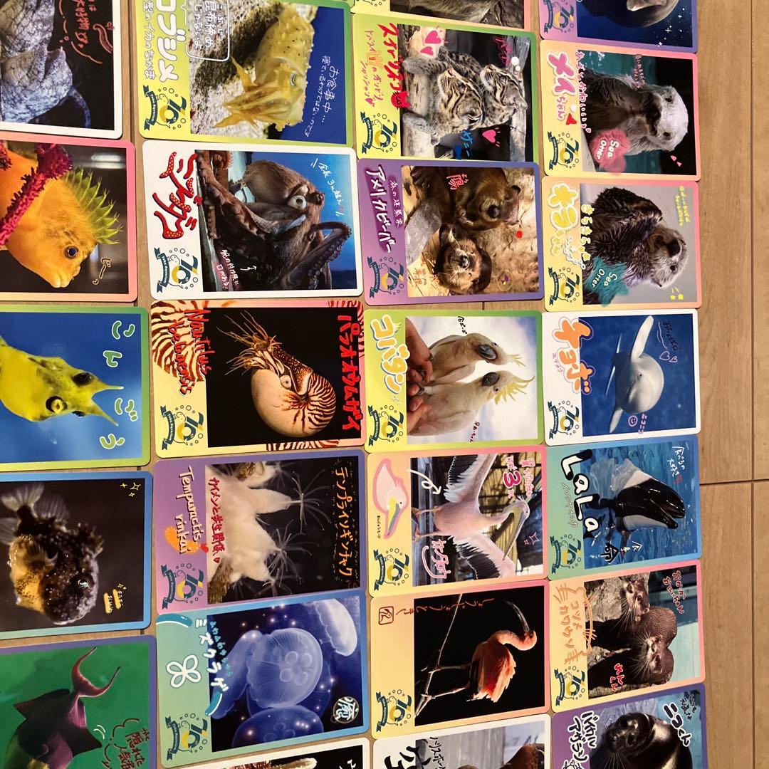 【週末値下げ中】鳥羽水族館コレクションカード　レアキラメイ