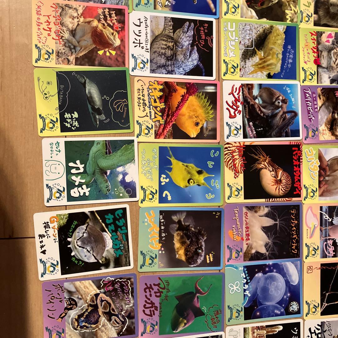 【週末値下げ中】鳥羽水族館コレクションカード　レアキラメイ