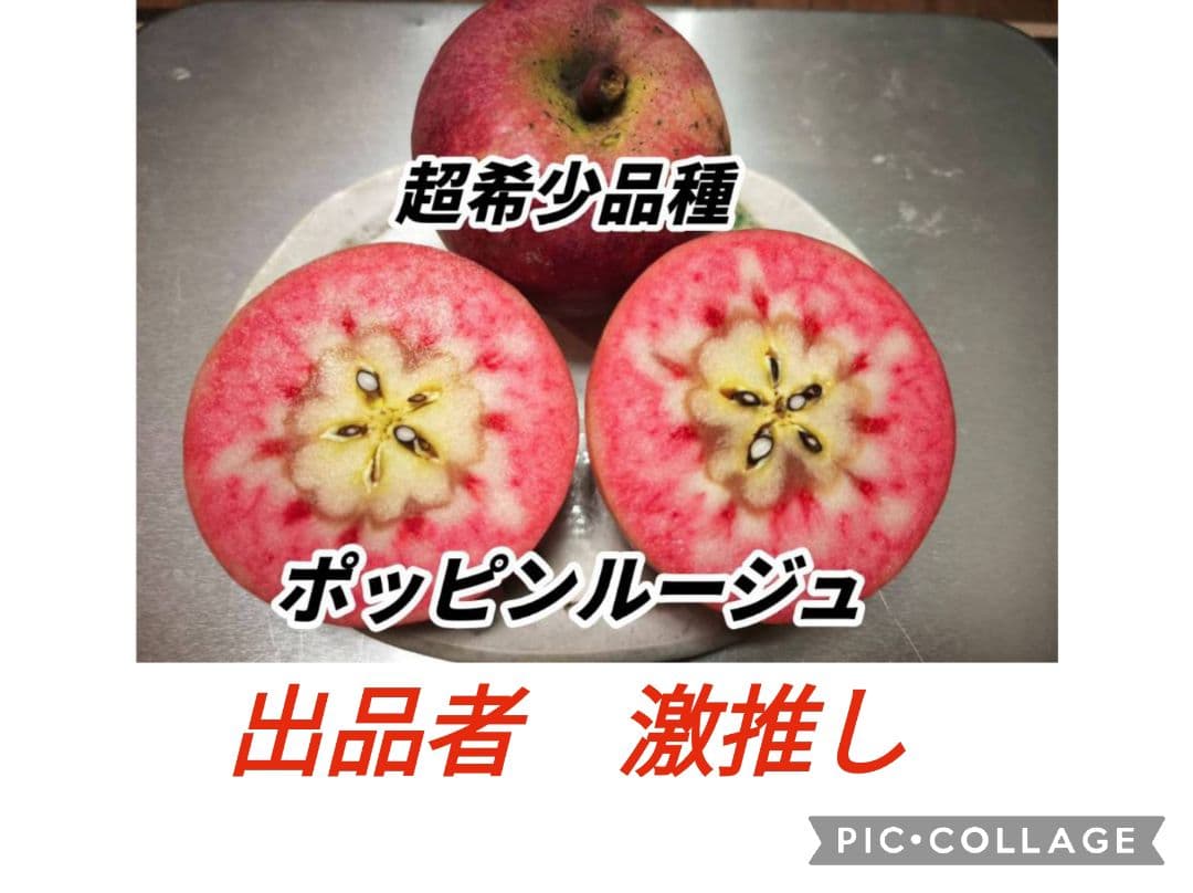 出品者一推しポッピンルージュ＆出品者二推しムーンルージュのミックス★2キロ