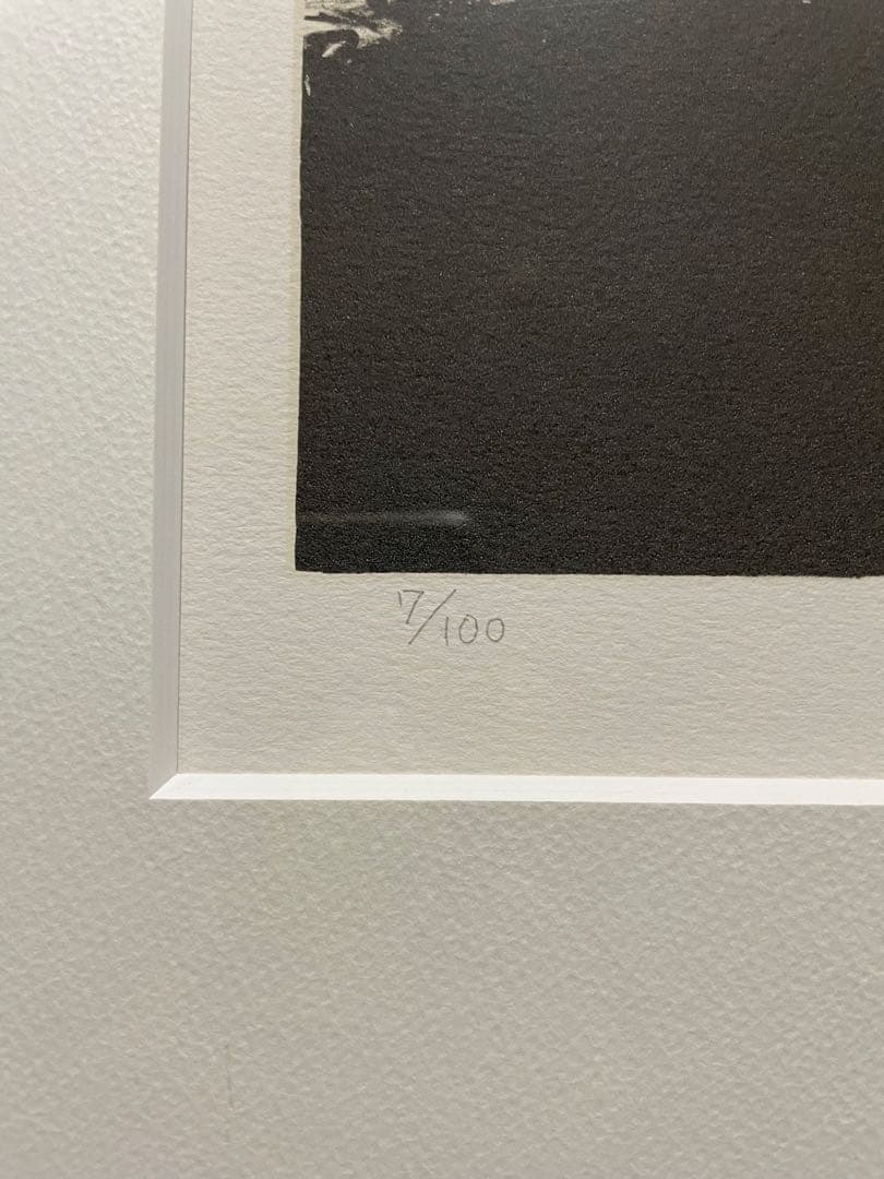 天野喜孝　リトグラフ ジュワンドルー　直筆サイン値上がり間違いなし　7/100