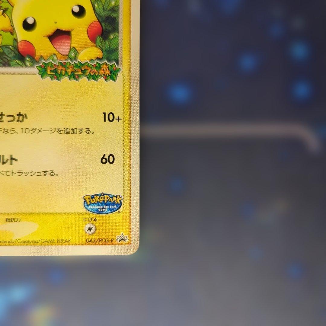 ピカチュウ：YU NAGABA ポケパークのピカチュウ 2枚セット