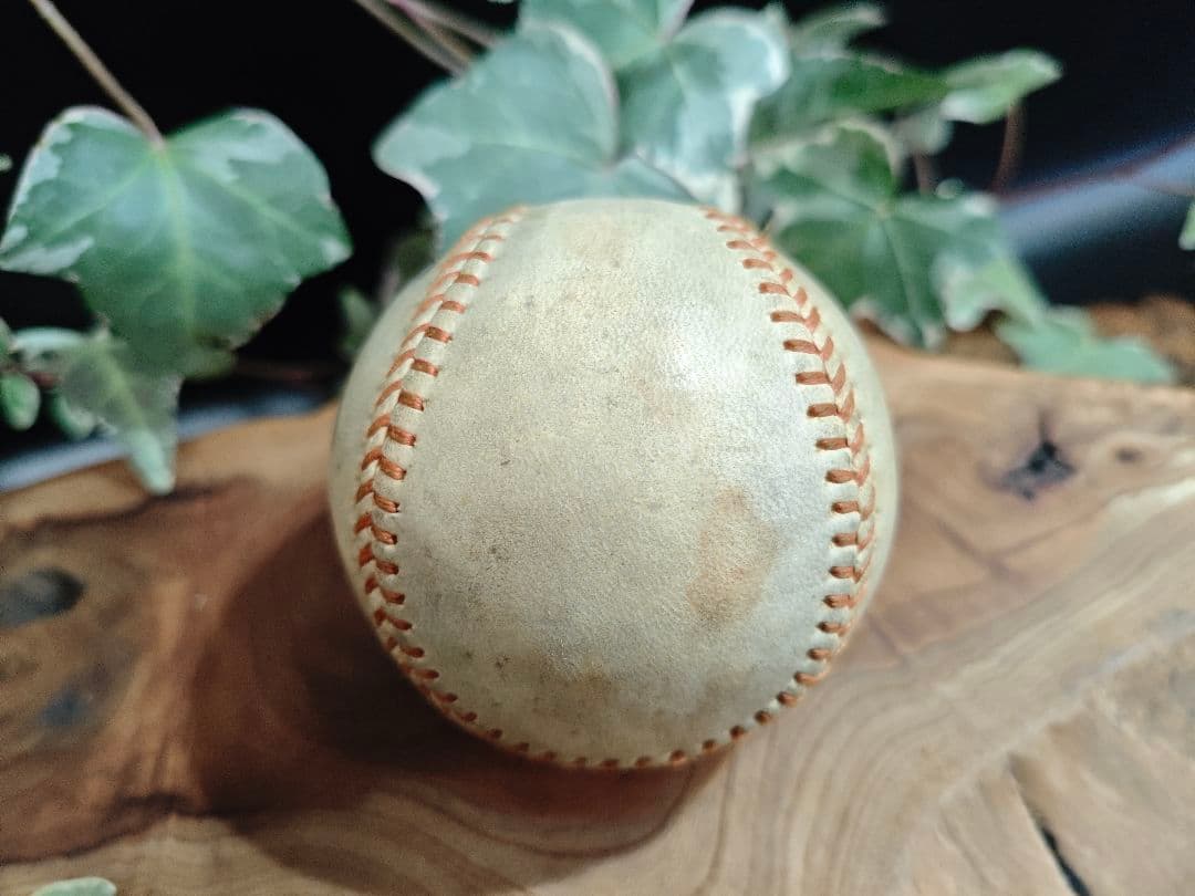 長嶋茂雄・王貞治 サインボール／直筆／野球 記念品