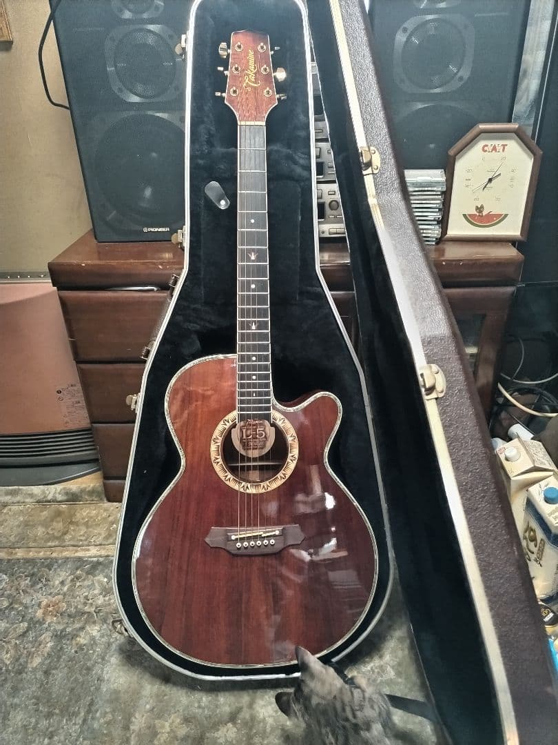 希少 限定品 Takamine L5 タカミネ エレアコ アコースティックギター