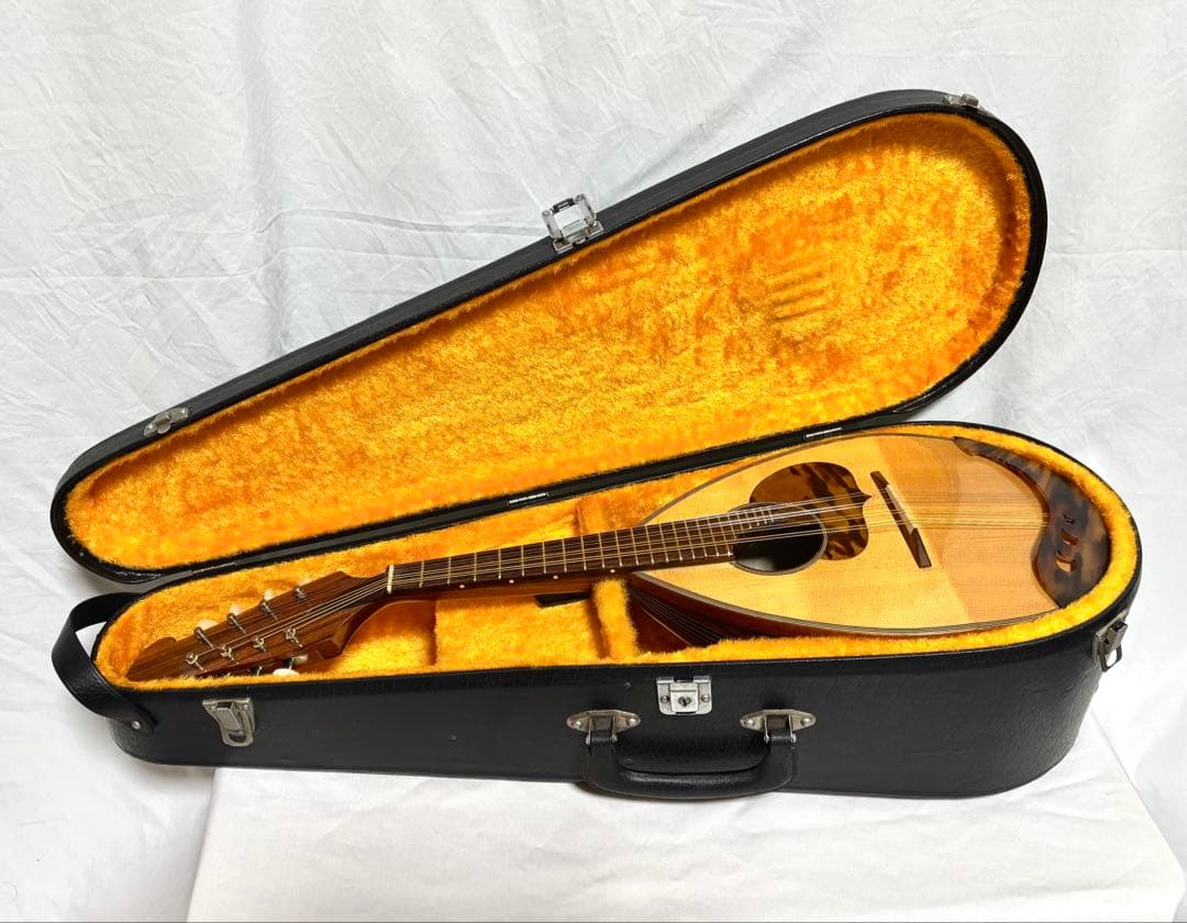 Raffaele Calace マンドリン TYPE 24 1990年製