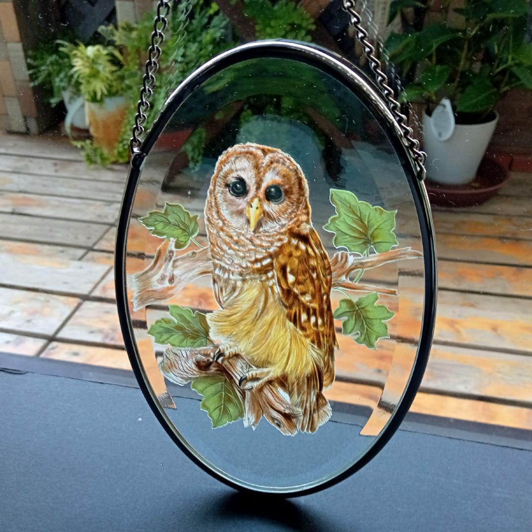 ライフォード社ステンドグラス ふくろうB梟フクロウ /グラスマスターズ トロント