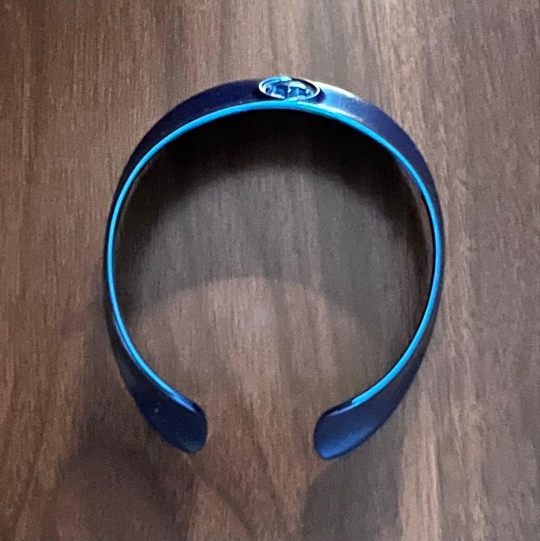 ⭐︎チワワさん専用⭐︎ aiboプレミアムプラン限定 首輪 赤 青