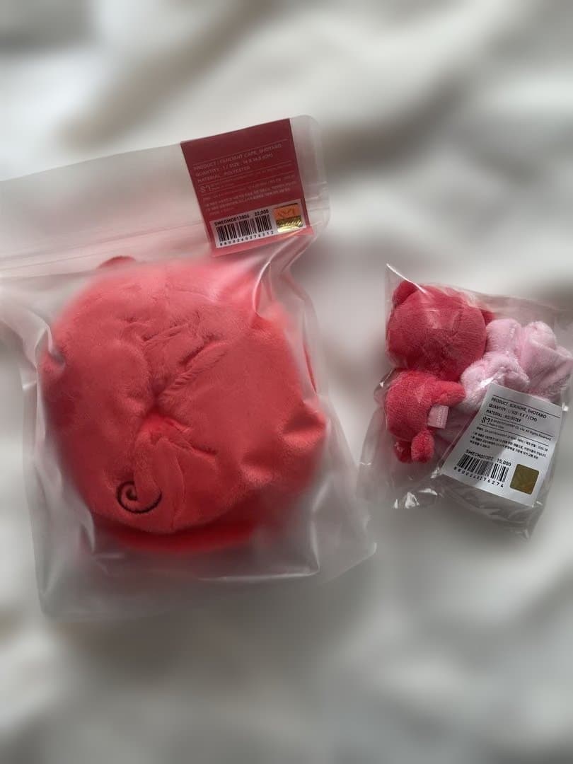 RIIZE ショウタロウ リズコ ペンライトカバー シュシュセット