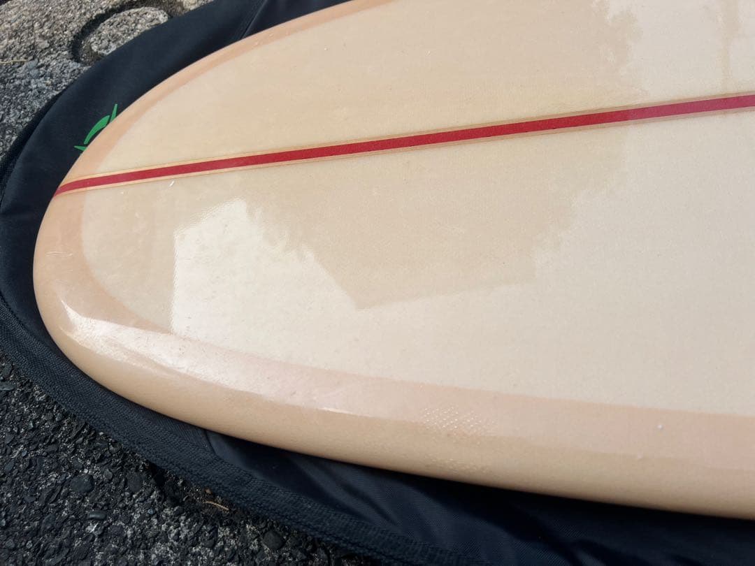 Joel Tudor 9’4 Spring Field / スプリングフィールド