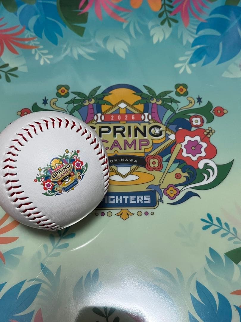 日本ハムファイターズ 達孝太 直筆サインボール 2026 沖縄キャンプ球