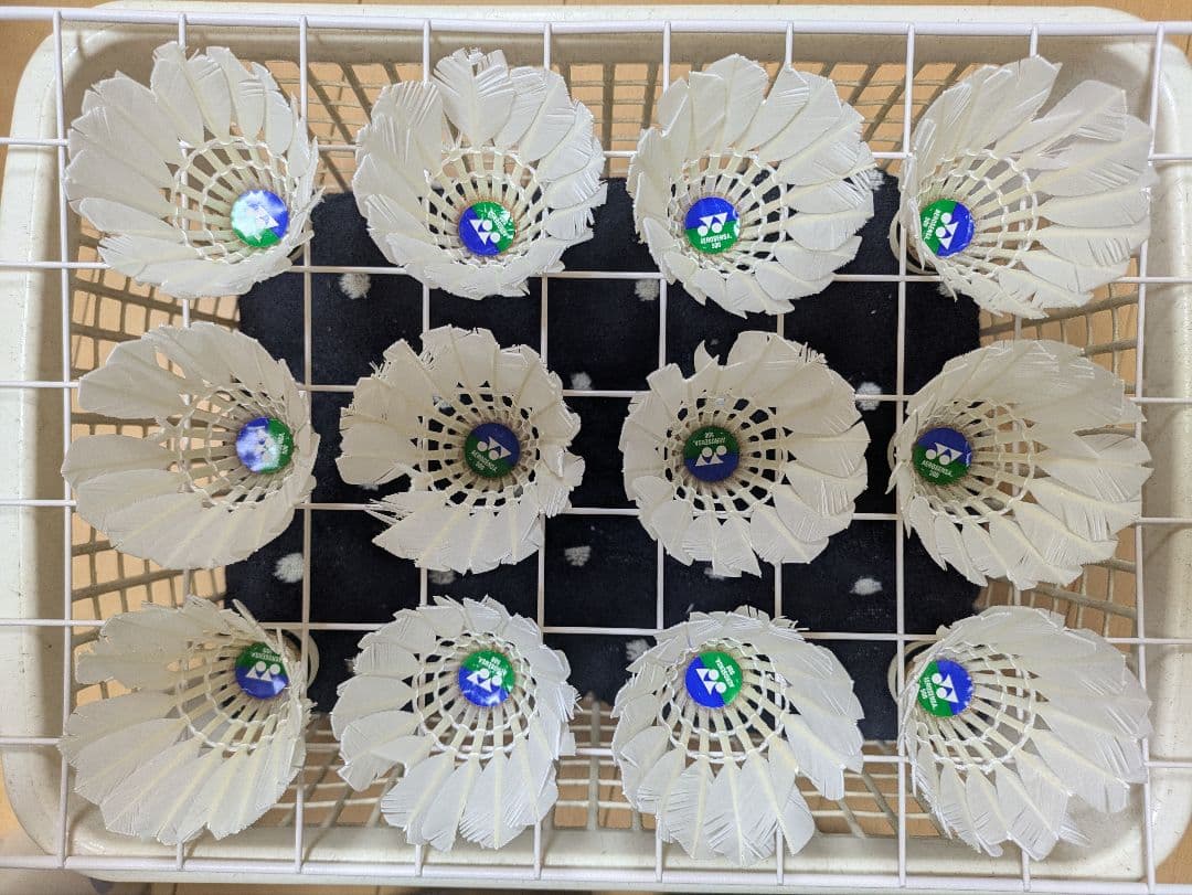 きのこ　バドミントン中古シャトル 120球