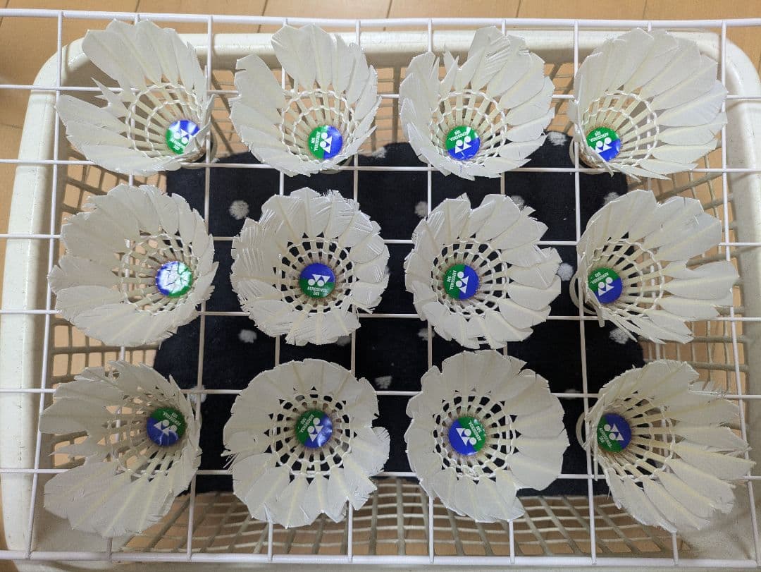 きのこ　バドミントン中古シャトル 120球