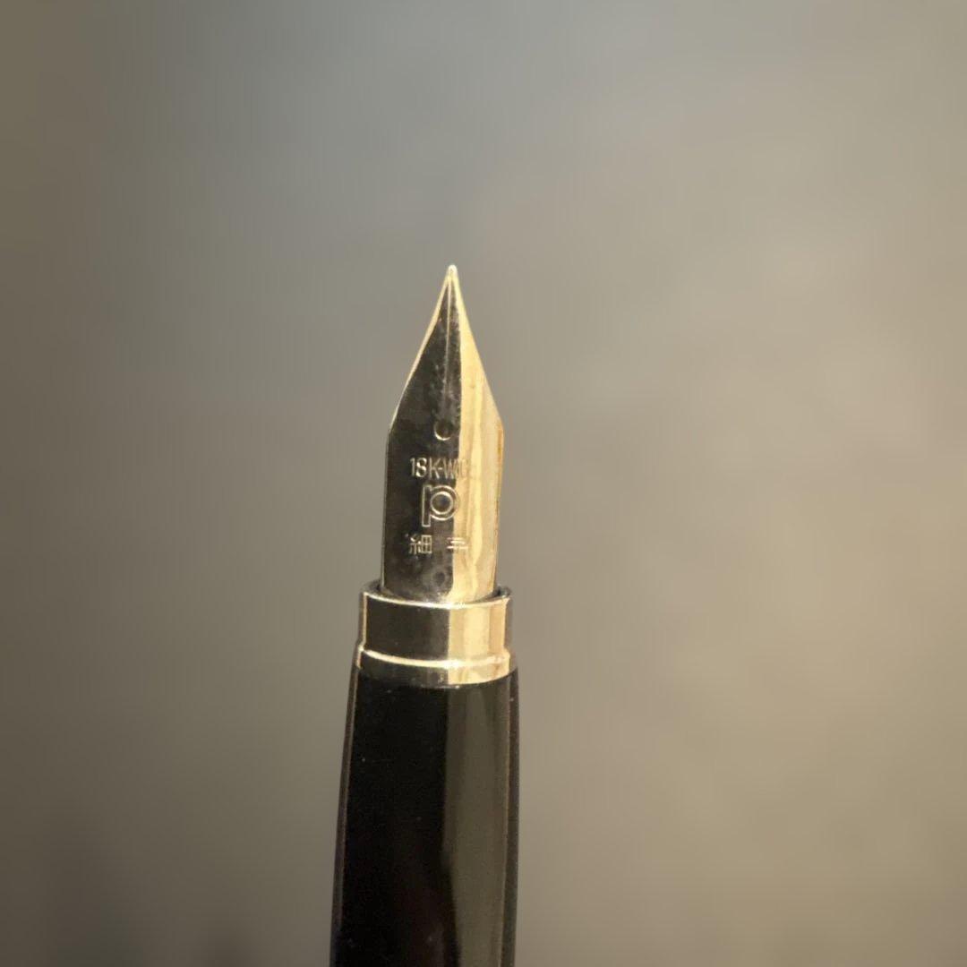 PLATINUM万年筆リビエール銀河 新品