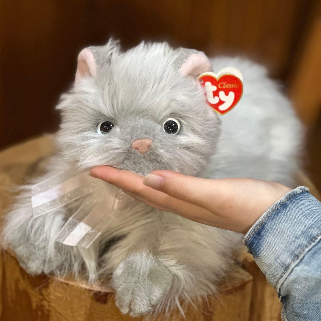 tyビーニーベイビーズ ネコぬいぐるみ　ペルシャ猫