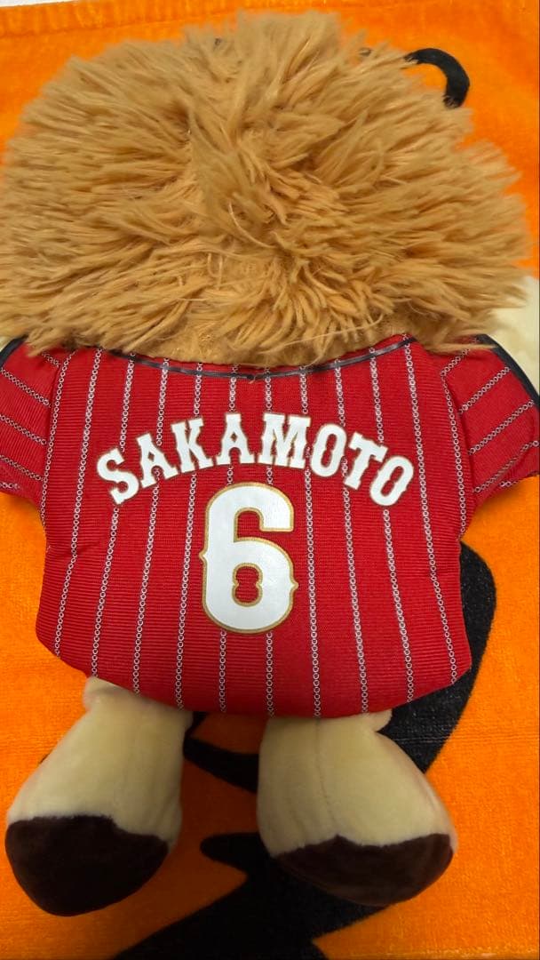 ライオンハヤトセット