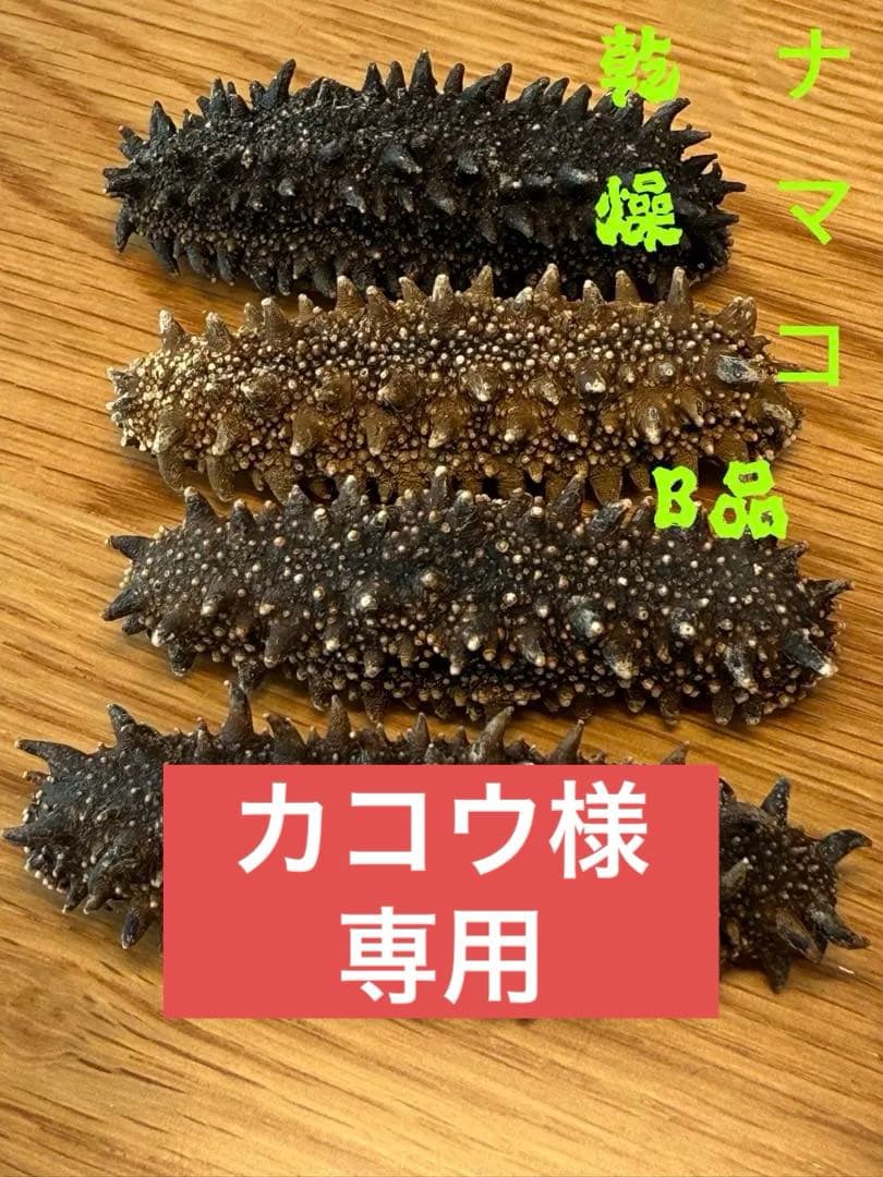 北海道産　乾燥海鼠ナマコ B品 訳あり品 100g