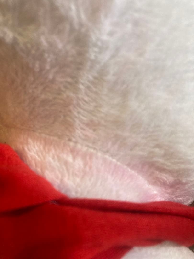 ぬいぐるみ まとめ まいにちいっしょ クロ リサ にゃんぱいあ プライズ 非売品