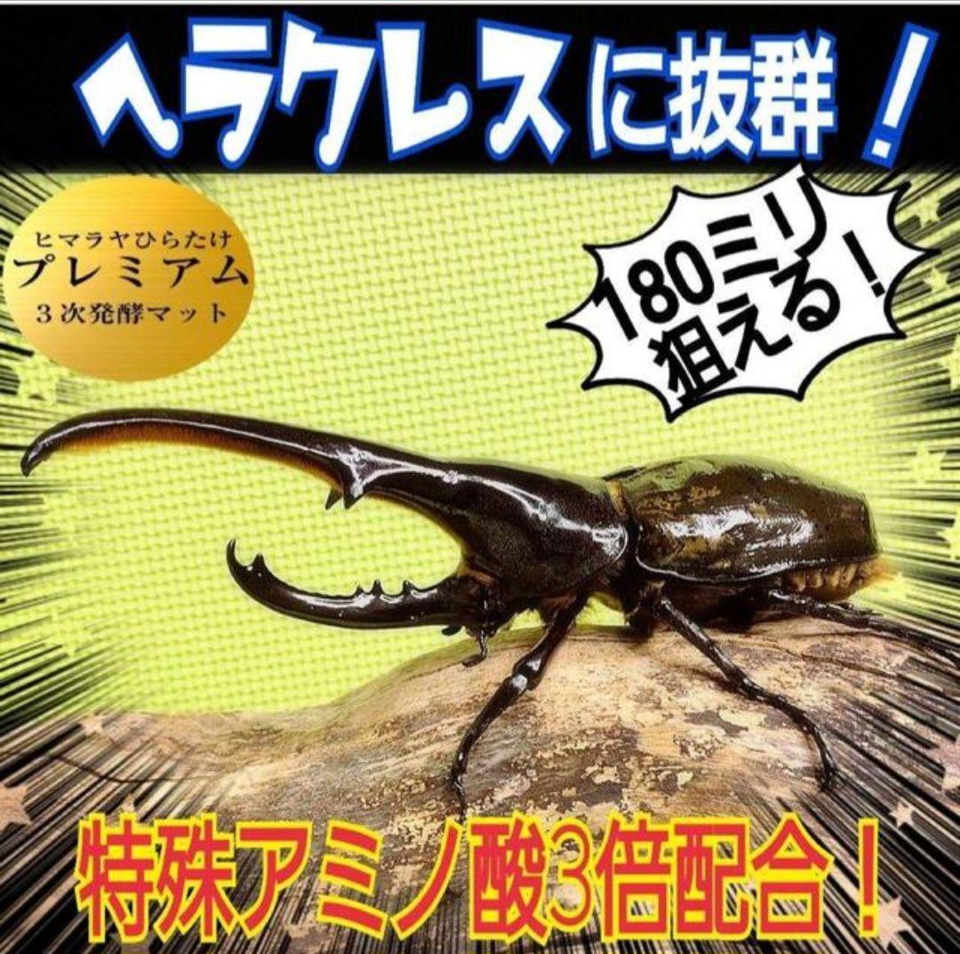 外国産カブトムシ幼虫が大きくなります！プレミアム3次発酵マット(60リットル)