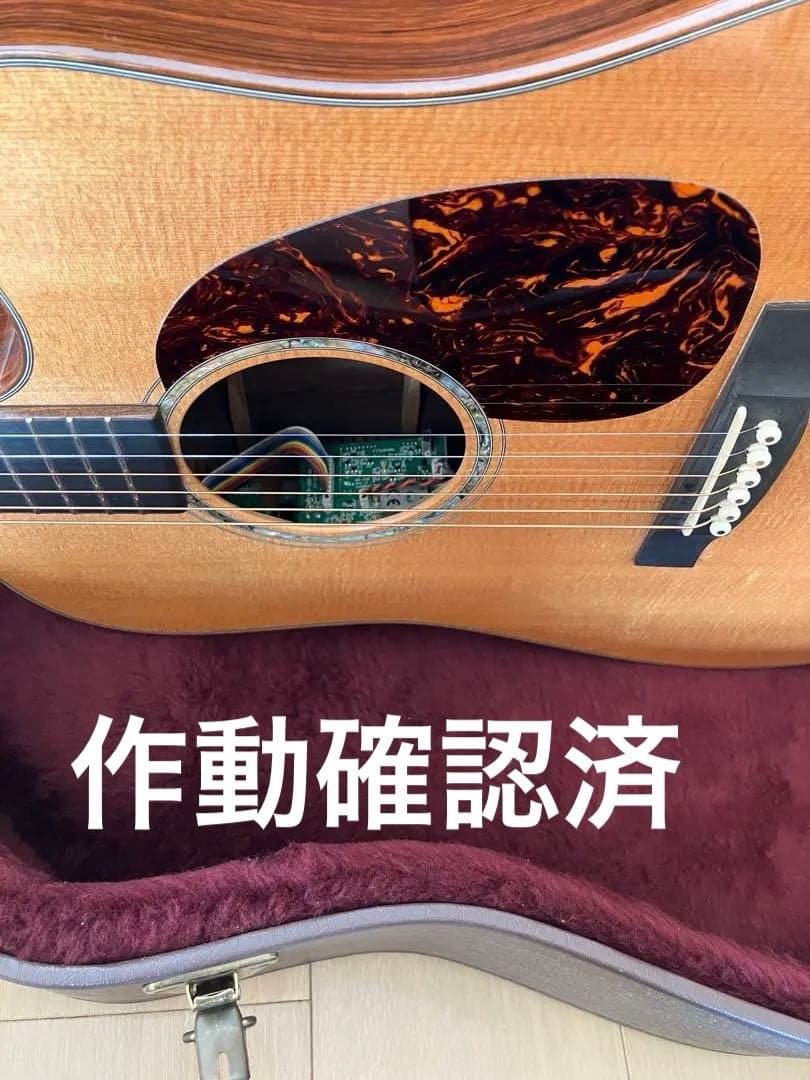 レア/希少　Martin DCPA 1 PLUS マーティン　縦ロゴ