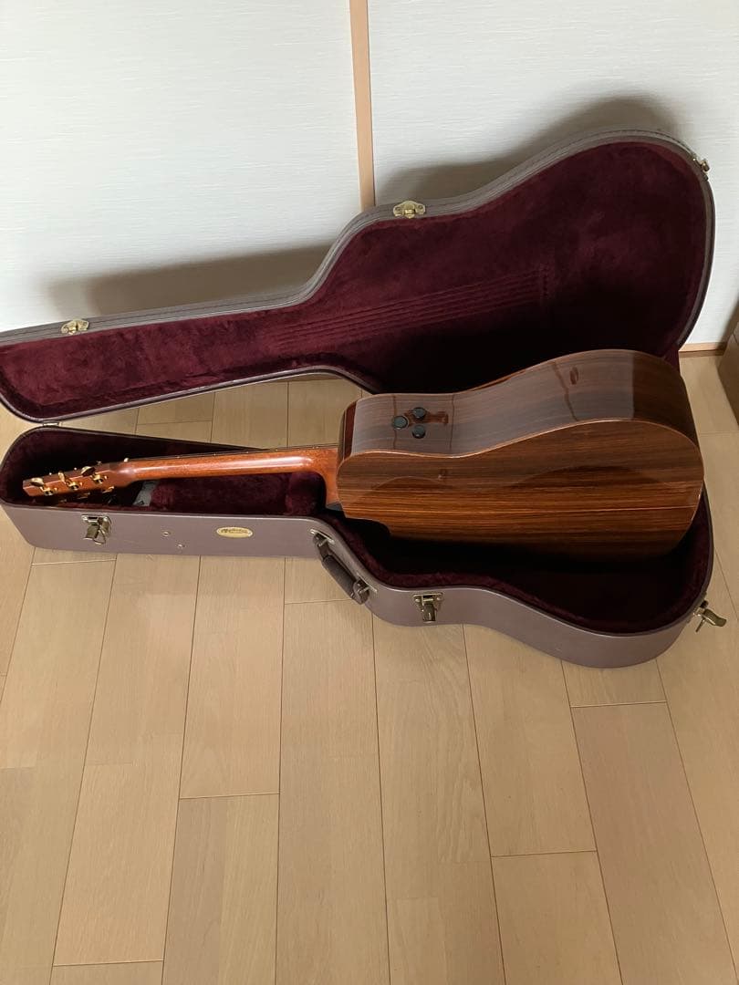 レア/希少　Martin DCPA 1 PLUS マーティン　縦ロゴ