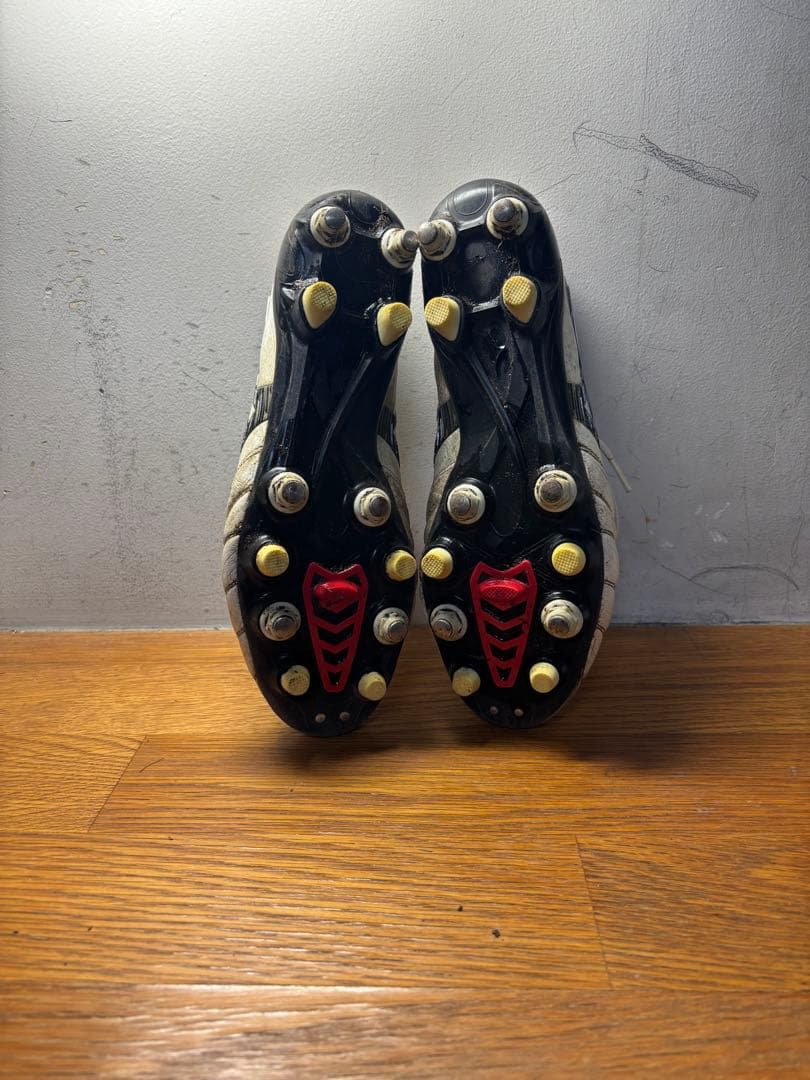 モレリアネオ4 25.5cm 鉄ピン