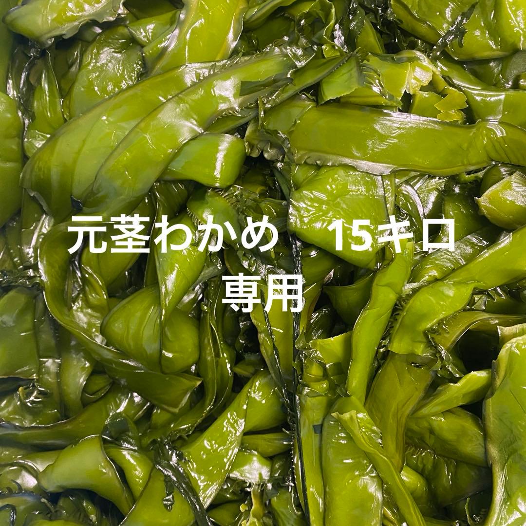 元茎わかめ　専用