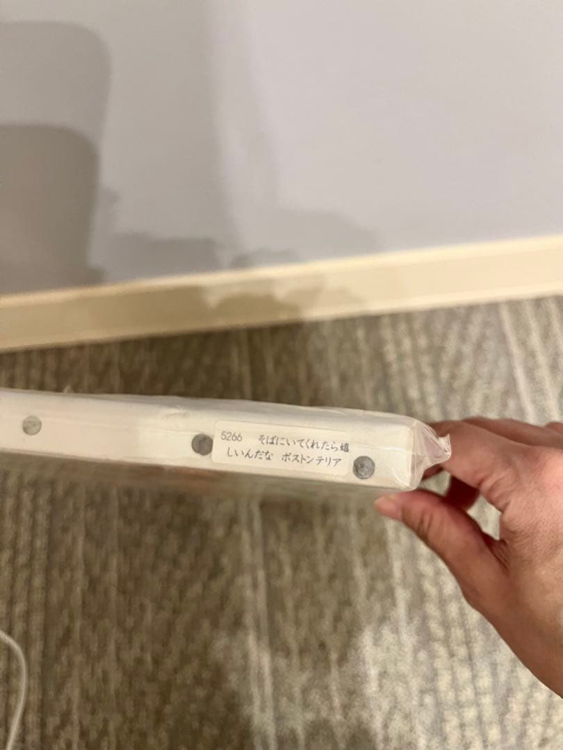 北村直登さん　原画 F4 ボストンテリア