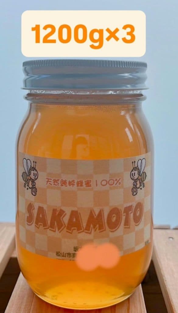 非加熱蜂蜜 1200g3本