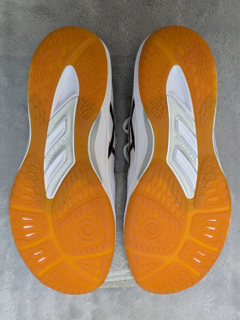 アシックス バレーボールシューズ ローテジャパン 25.5cm