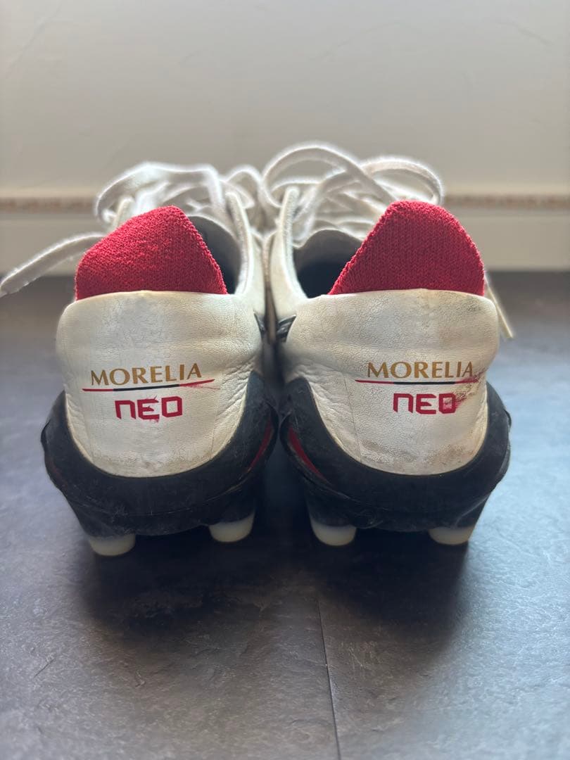 【chi4さん専用】モレリアネオ4