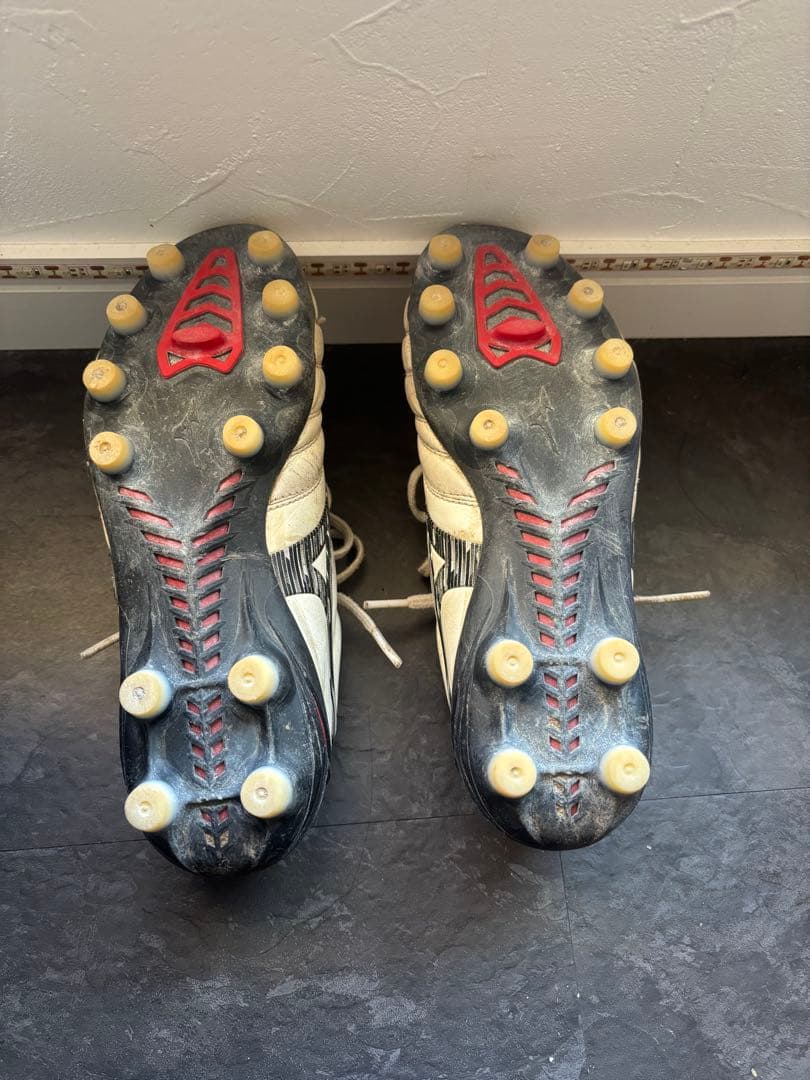 【chi4さん専用】モレリアネオ4