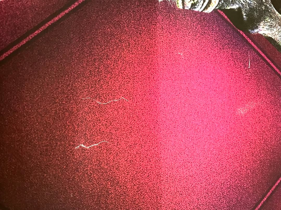 第62回宝塚記念 クロノジェネシスポスター B1サイズ