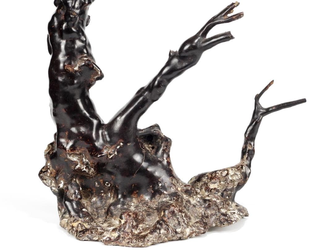 中国美術 時代 天然 隨形 海松 置物 大型 古美術 深海松 黒珊瑚