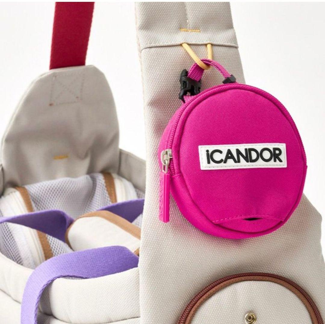 iCANDOR アイキャンダー キャリーバッグ M クッション付き