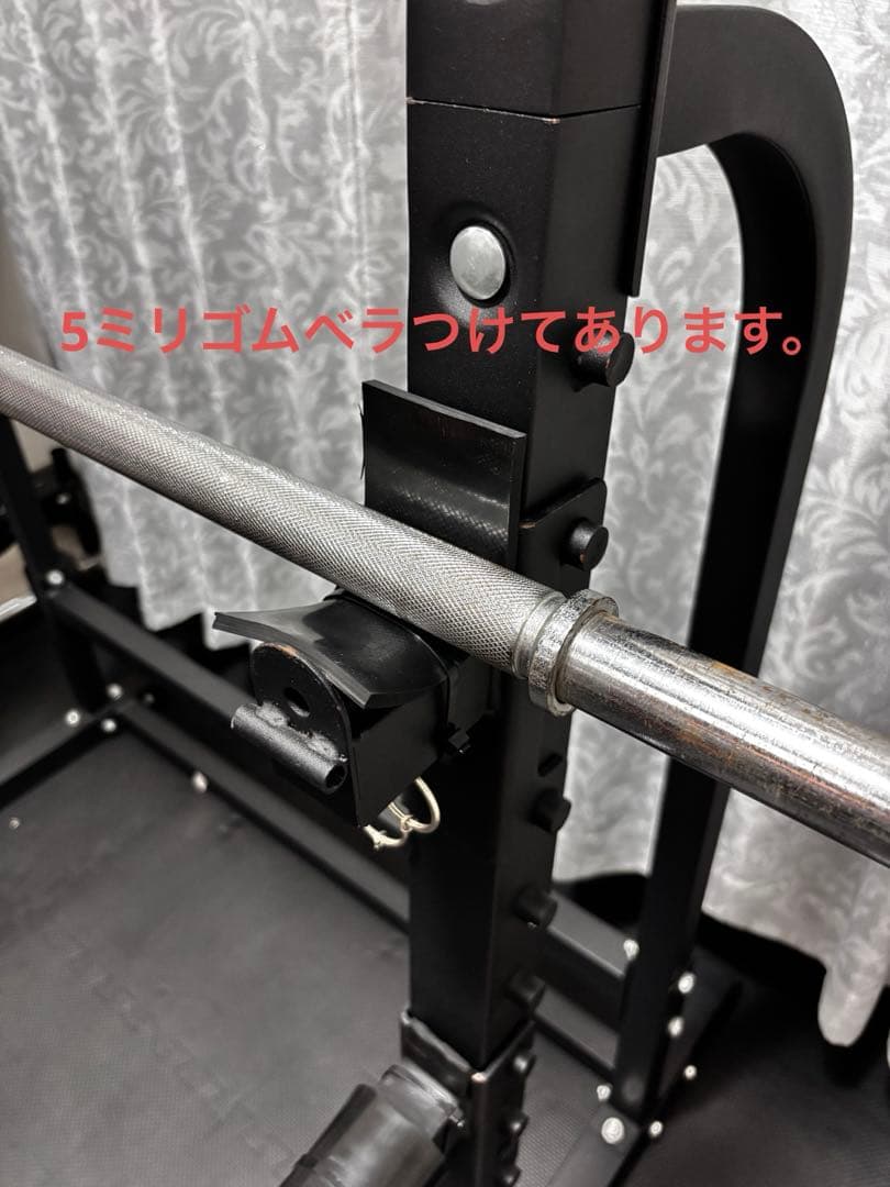 WASAI MK780 ハーフラック ぶら下がり健康器（1）(1/2)