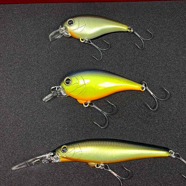 【レア】レボニック サラモアポロ ラムジー シェキラー78 カラーB