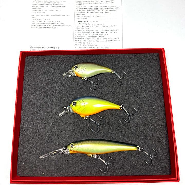 【レア】レボニック サラモアポロ ラムジー シェキラー78 カラーB